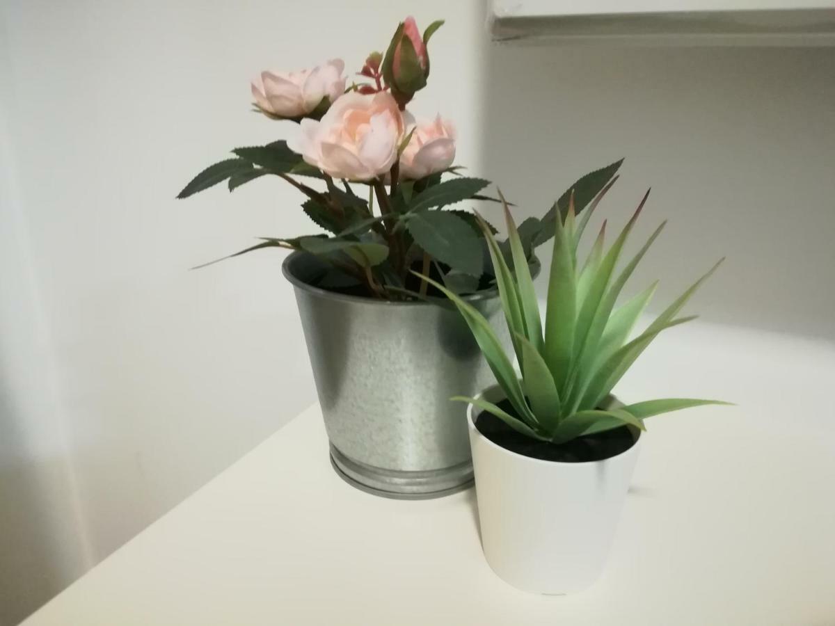 Iris Apartment Pombal  Εξωτερικό φωτογραφία